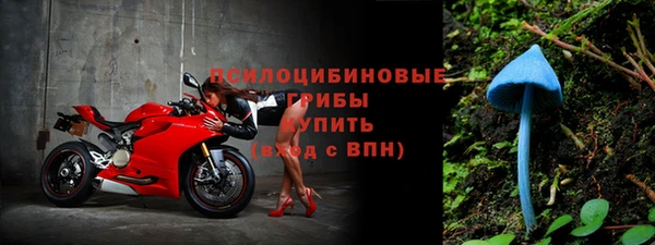 бошки Алексин
