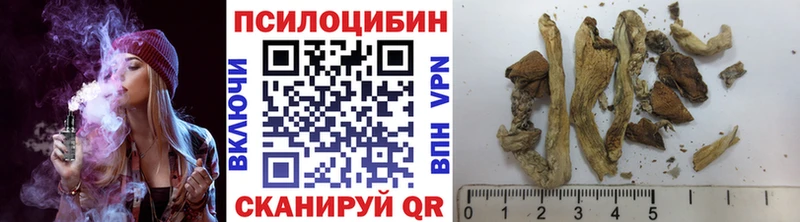 ОМГ ОМГ ссылки  где купить наркотик  Макушино  Псилоцибиновые грибы Psilocybe 